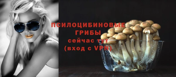 spice Кинешма