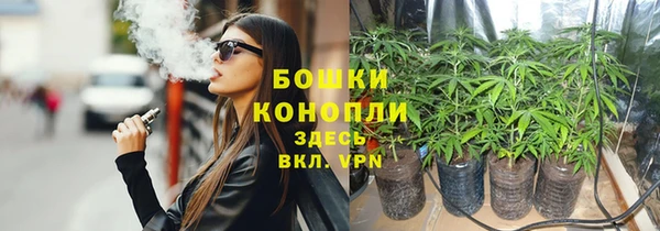spice Кинешма