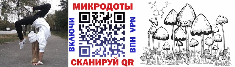 Галлюциногенные грибы Psilocybine cubensis  Юрга 