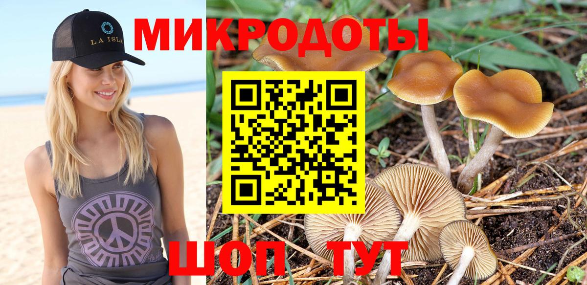 Юрга  Псилоцибиновые грибы Psilocybine cubensis  Вход с VPN 